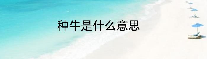 种牛是什么意思