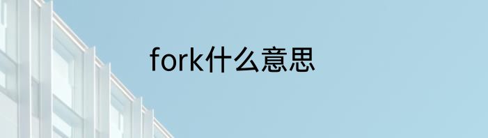 fork什么意思