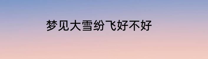 梦见大雪纷飞好不好