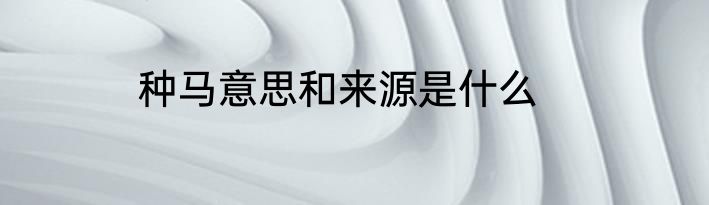 种马意思和来源是什么