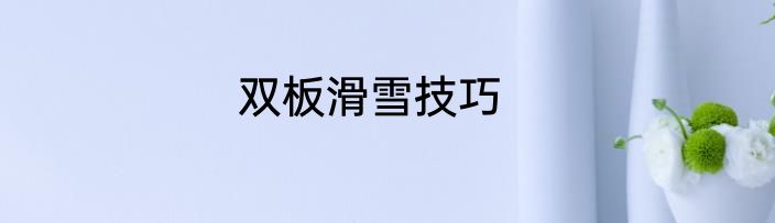 双板滑雪技巧
