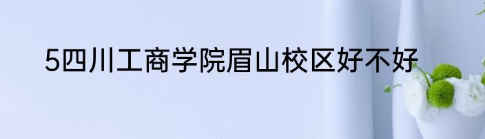 5四川工商学院眉山校区好不好