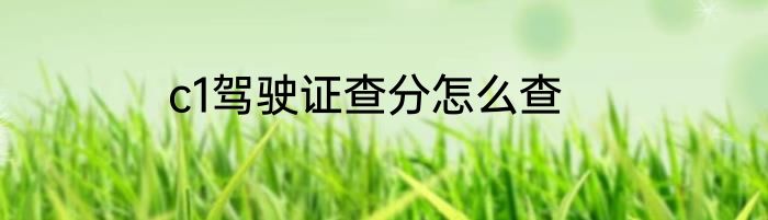 c1驾驶证查分怎么查