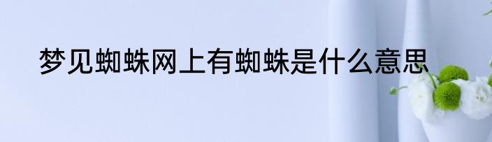 梦见蜘蛛网上有蜘蛛是什么意思