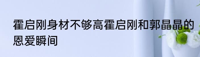霍启刚身材不够高霍启刚和郭晶晶的恩爱瞬间