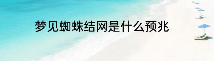 梦见蜘蛛结网是什么预兆