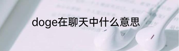 doge在聊天中什么意思