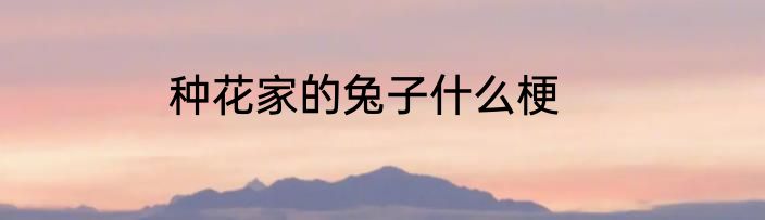种花家的兔子什么梗