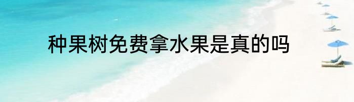 种果树免费拿水果是真的吗