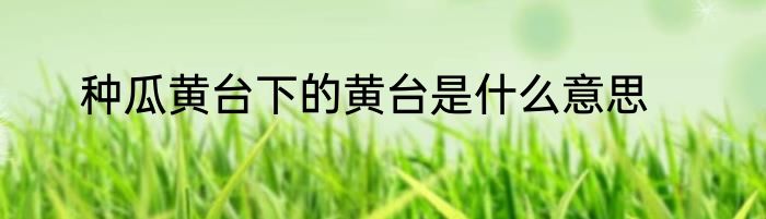 种瓜黄台下的黄台是什么意思