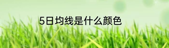 5日均线是什么颜色