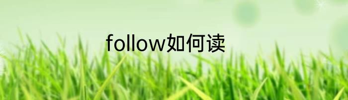 follow如何读