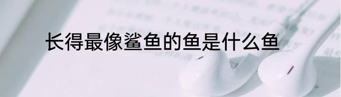 长得最像鲨鱼的鱼是什么鱼