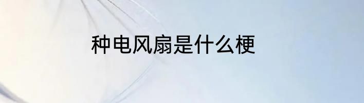 种电风扇是什么梗