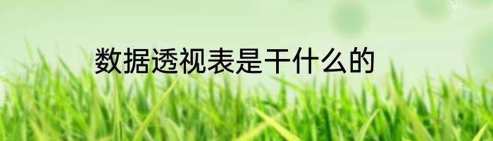 数据透视表是干什么的