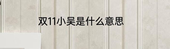 双11小吴是什么意思