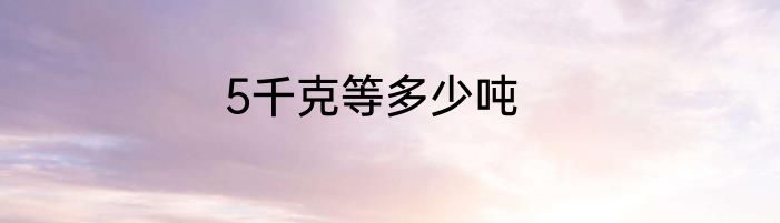 5千克等多少吨