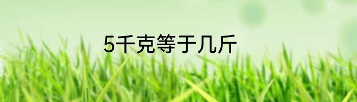 5千克等于几斤