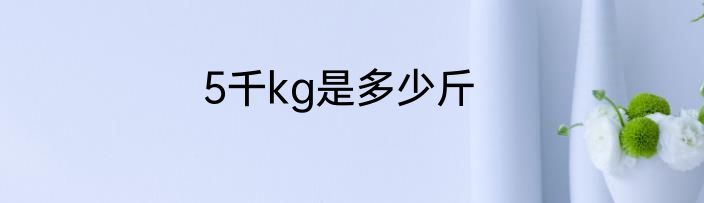 5千kg是多少斤