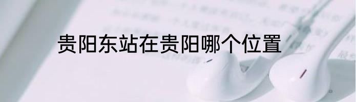 贵阳东站在贵阳哪个位置