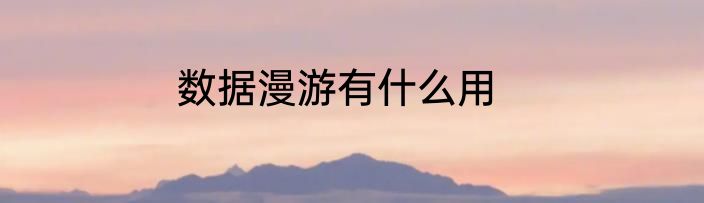 数据漫游有什么用
