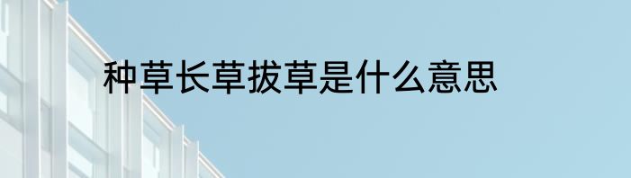 种草长草拔草是什么意思