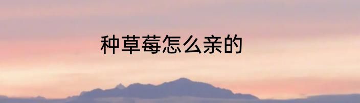种草莓怎么亲的
