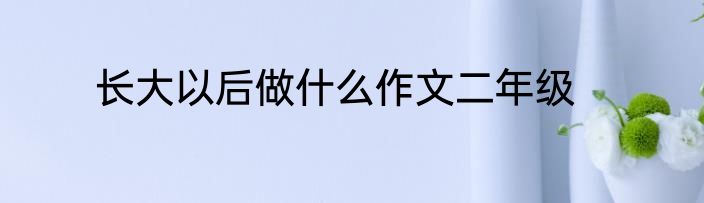 长大以后做什么作文二年级