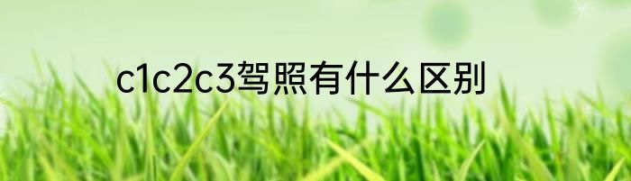 c1c2c3驾照有什么区别