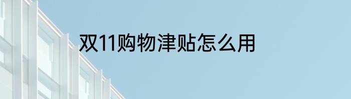 双11购物津贴怎么用