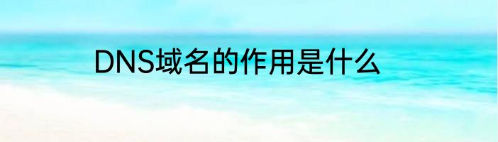 DNS域名的作用是什么