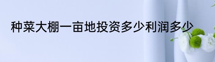 种菜大棚一亩地投资多少利润多少