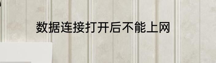 数据连接打开后不能上网