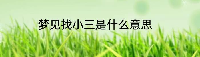 梦见找小三是什么意思