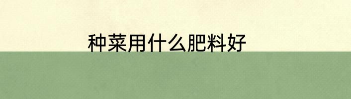 种菜用什么肥料好