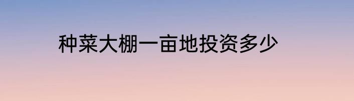 种菜大棚一亩地投资多少