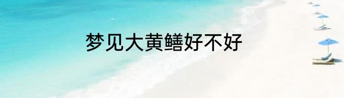 梦见大黄鳝好不好