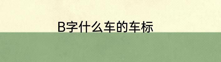 B字什么车的车标