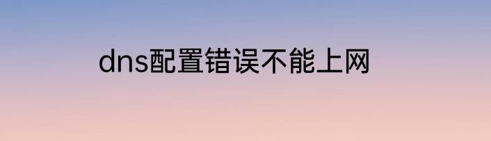 dns配置错误不能上网