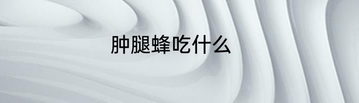 肿腿蜂吃什么