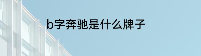b字奔驰是什么牌子
