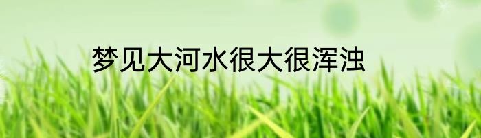 梦见大河水很大很浑浊