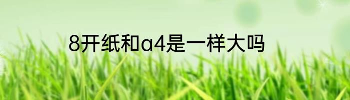 8开纸和a4是一样大吗