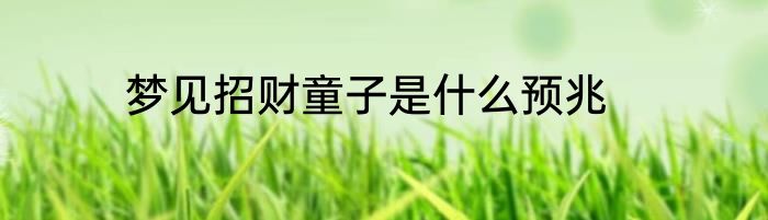 梦见招财童子是什么预兆