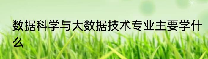 数据科学与大数据技术专业主要学什么