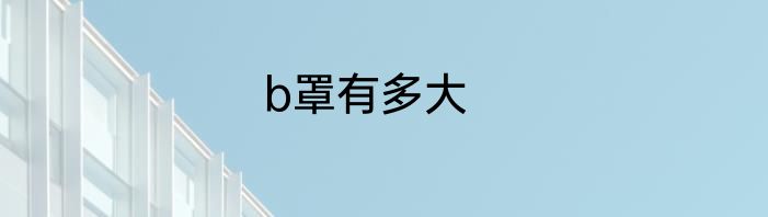 b罩有多大