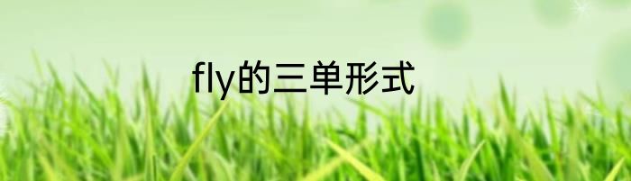 fly的三单形式