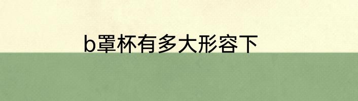 b罩杯有多大形容下
