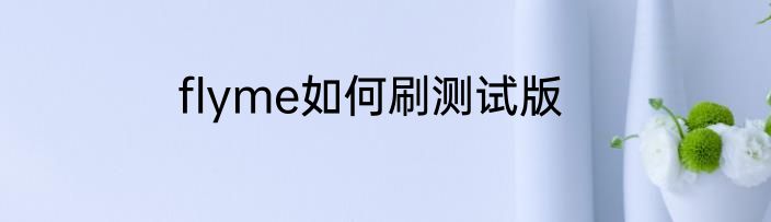 flyme如何刷测试版