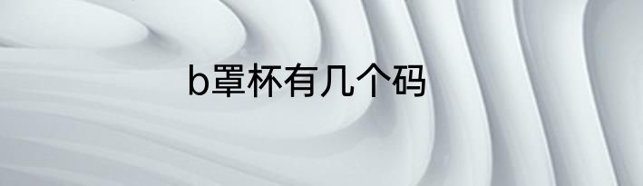 b罩杯有几个码